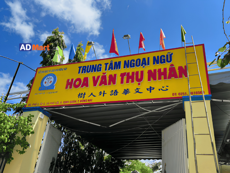 Một Số Lưu Ý Khi Lựa Chọn