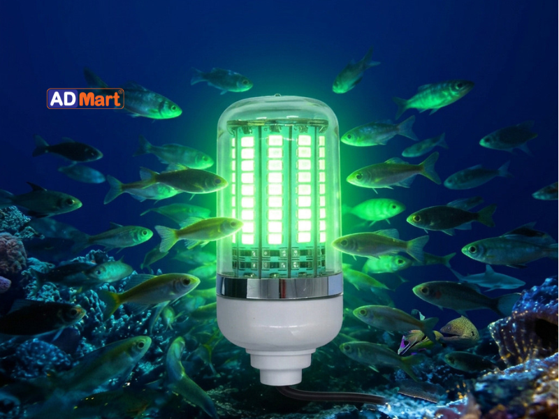 Đèn dưới nước 12V: Đặc điểm, ứng dụng và cách chọn phù hợp